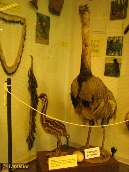 2008-06-08 14-54-36.JPG - Expeditionsmuseum